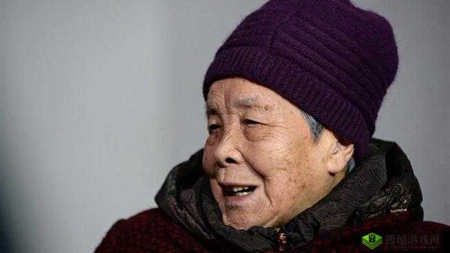 沈阳老阿姨最后的巅峰:一段传奇的落幕