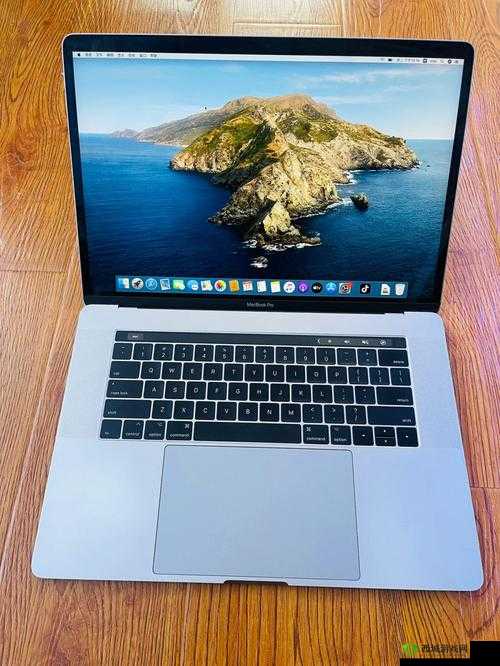 18 岁 macbookpro 特点-便携高效的生产力工具