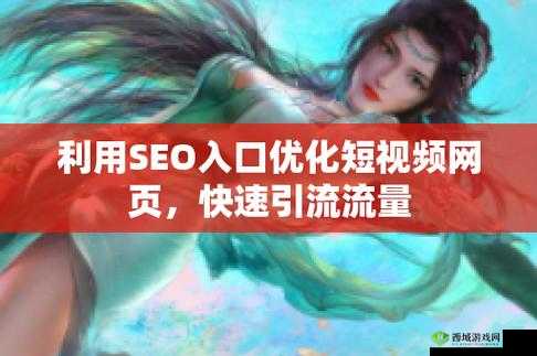 SEO 短视频网页入口网站推广方案及策略