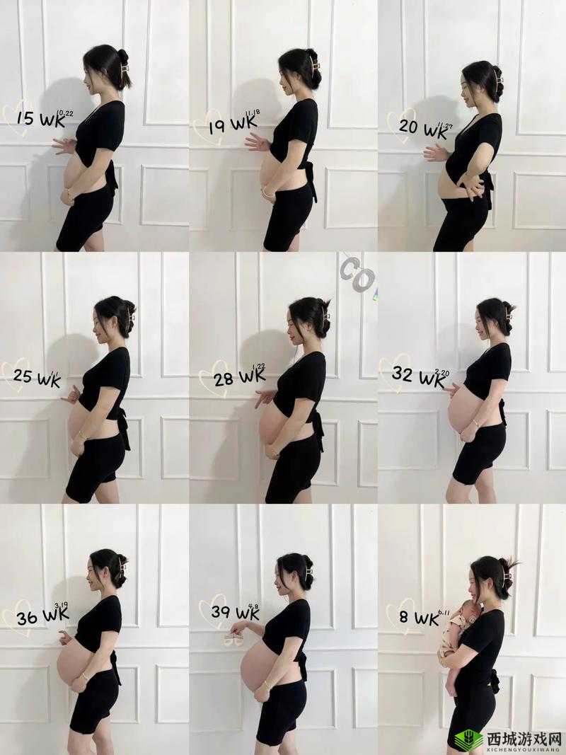 WINDOWSCHANNEL 孕妇:孕期的特殊时光