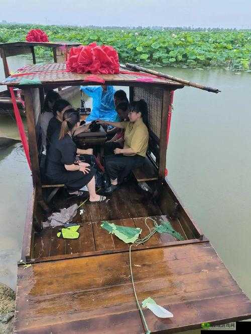 老人船上弄雨荷的故事情节如何展开之详细解析与深入探讨