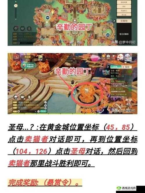 梦想新大陆出逃的灰灰任务攻略,资源管理的艺术