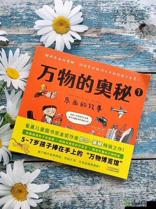探秘未知,关键词背后的奇幻之旅