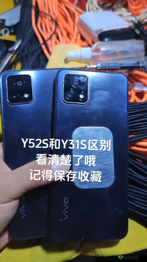 如何下载成色好的 Y31S 标准版:详细教程及注意事项