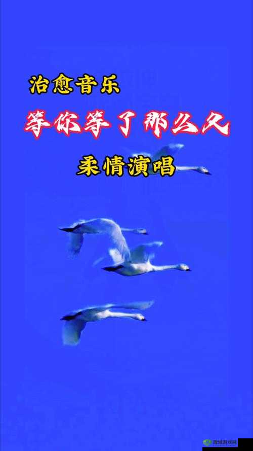 今天高清视频免费播放第 1 集插曲,那它的歌名是什么呢?独特等你来想